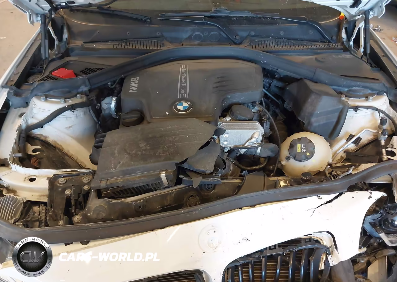2016 BMW 228I xDrive VIN:WBA1G9C57GV599808 - 10