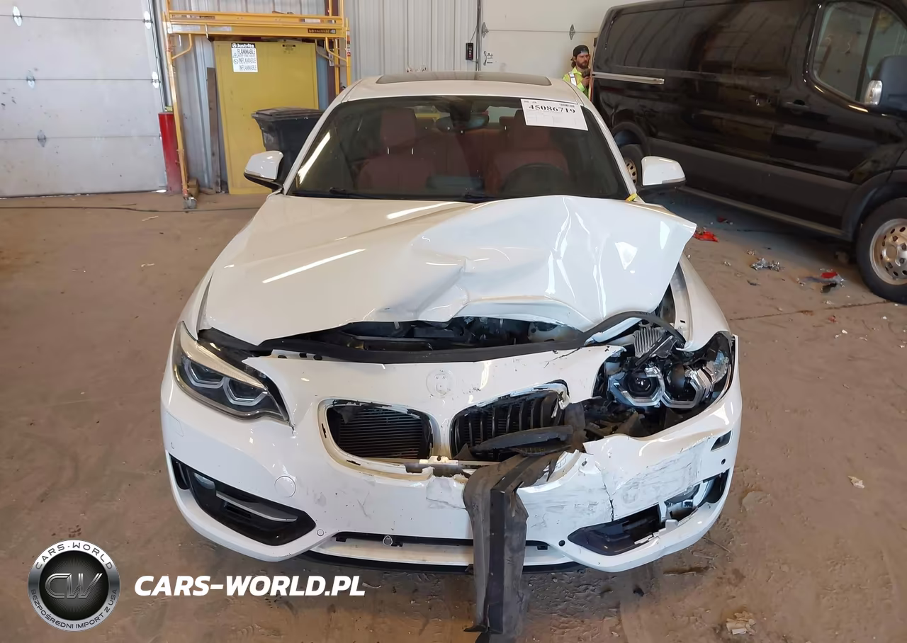 2016 BMW 228I xDrive VIN:WBA1G9C57GV599808 - 12