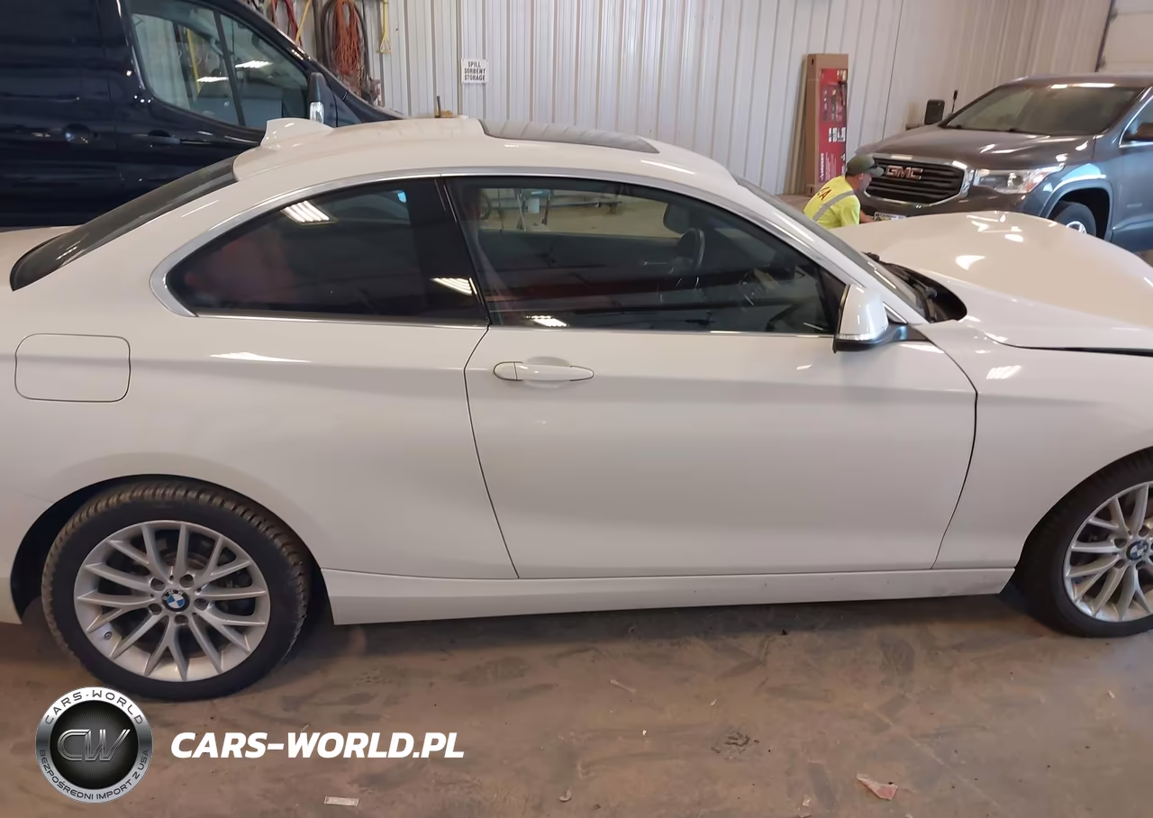 2016 BMW 228I xDrive VIN:WBA1G9C57GV599808 - 13