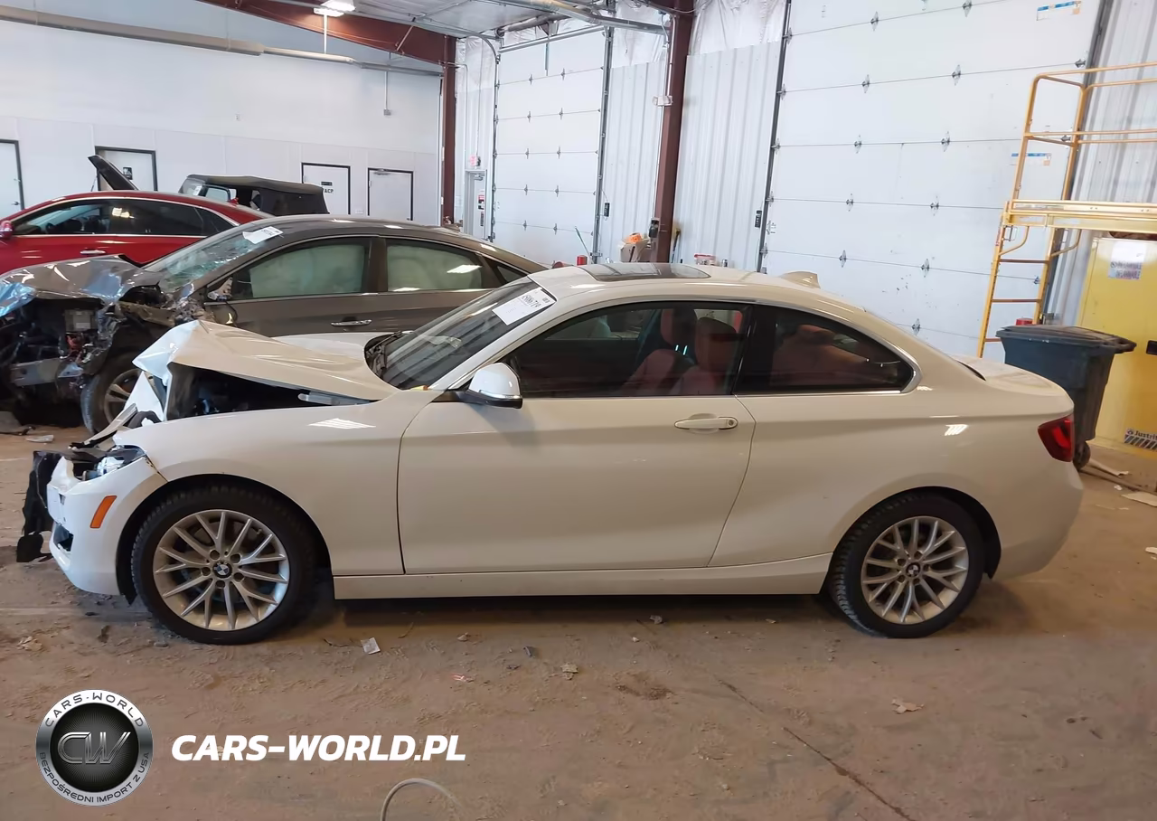 2016 BMW 228I xDrive VIN:WBA1G9C57GV599808 - 14