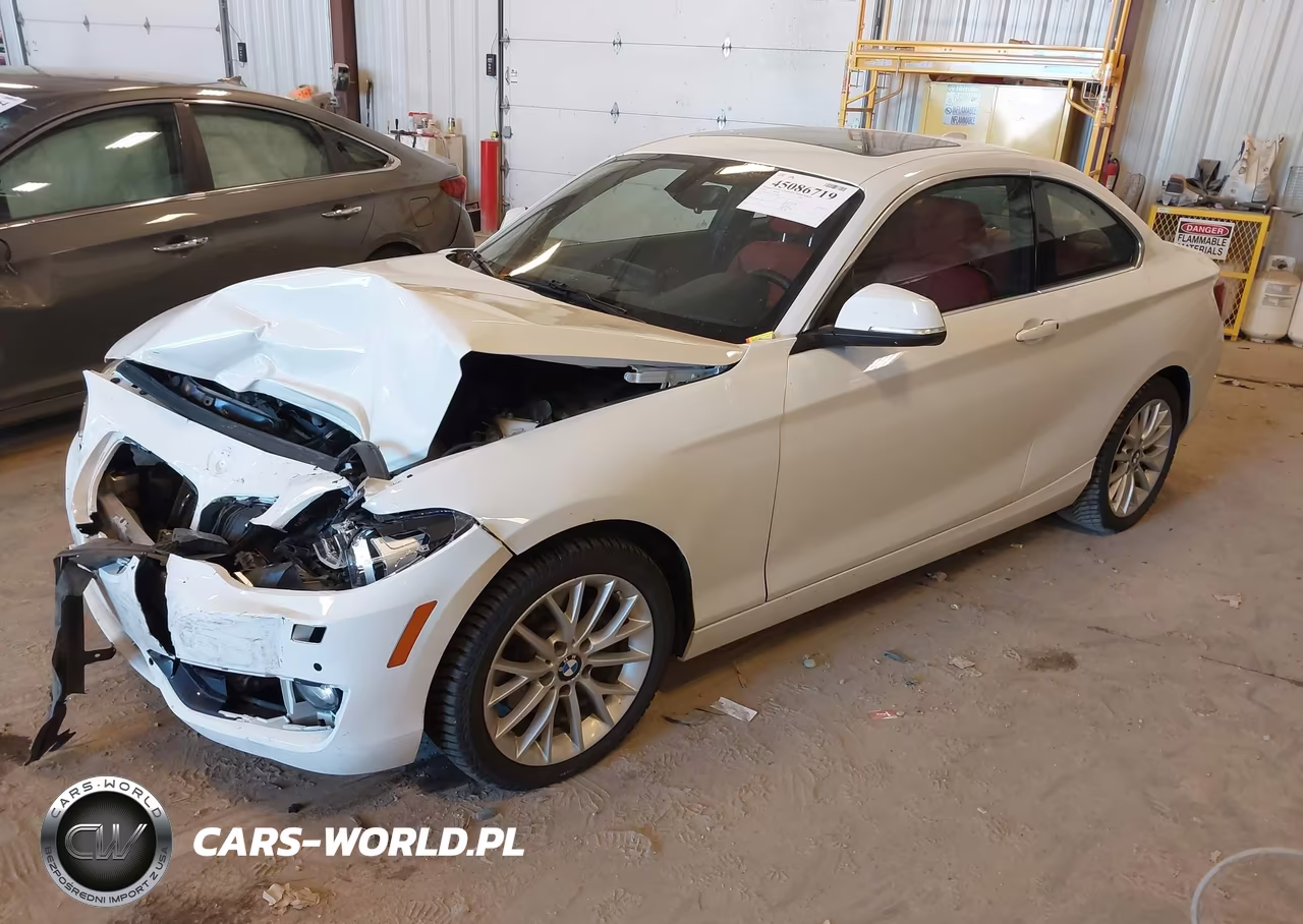 2016 BMW 228I xDrive VIN:WBA1G9C57GV599808 - 2