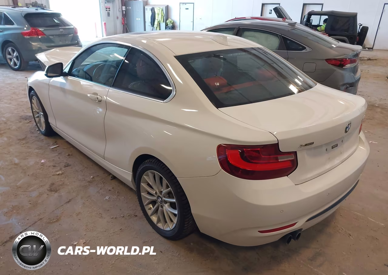 2016 BMW 228I xDrive VIN:WBA1G9C57GV599808 - 3