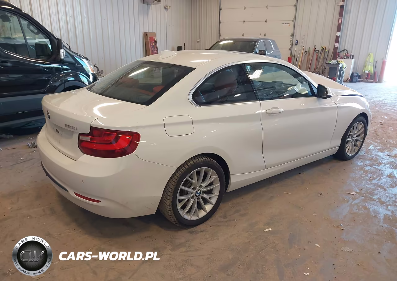 2016 BMW 228I xDrive VIN:WBA1G9C57GV599808 - 4