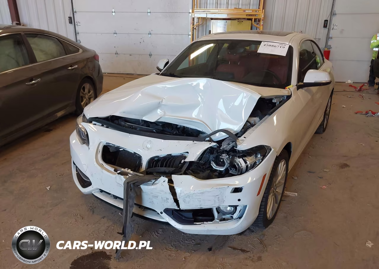 2016 BMW 228I xDrive VIN:WBA1G9C57GV599808 - 6