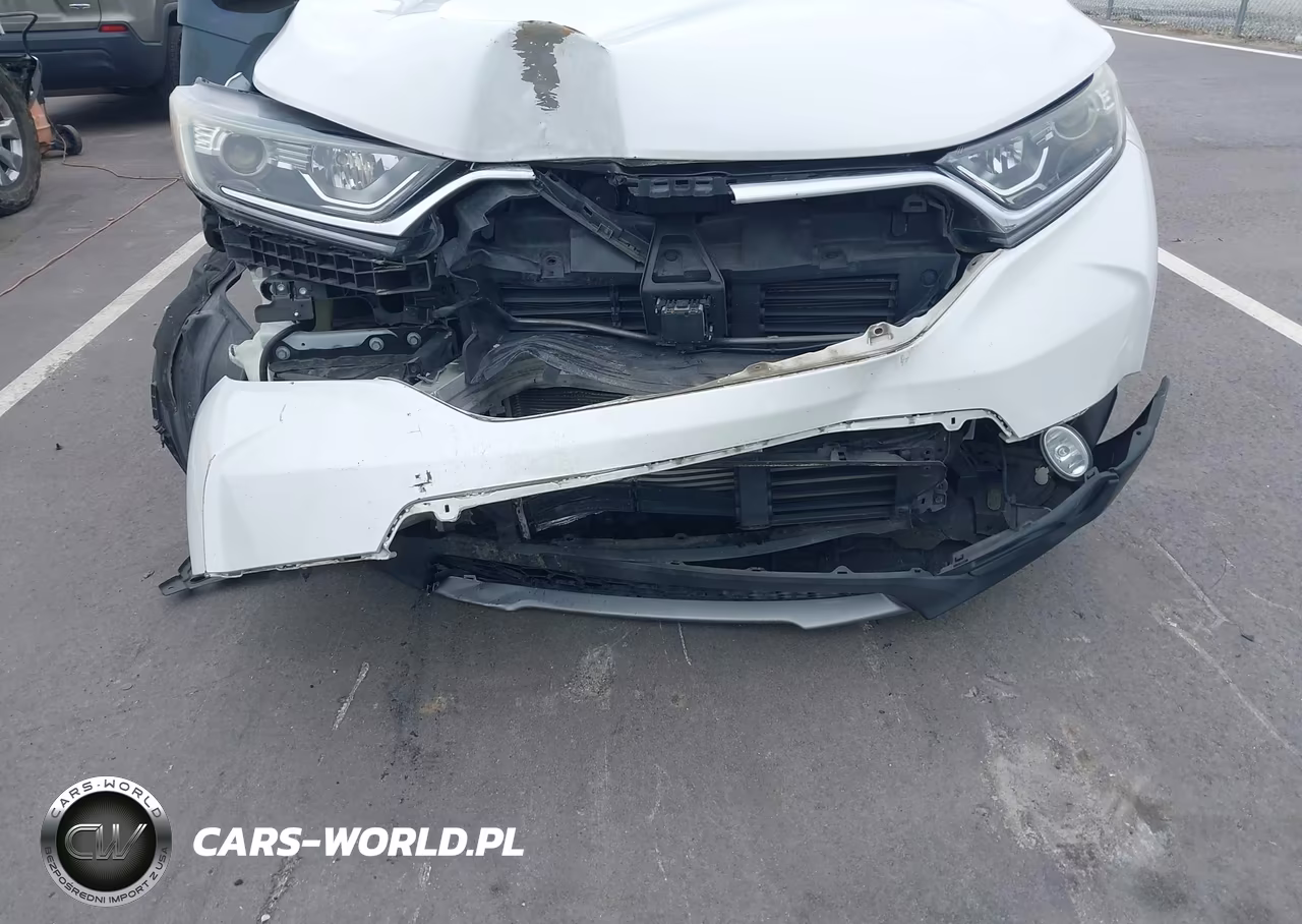 2019 Honda Cr-V Ex VIN:JHLRW2H52KX020524 - 6