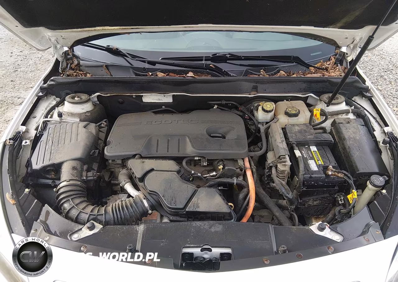 CHEVROLET MALIBU 1LT VIN:1G11D5SR6DF156248 - 10
