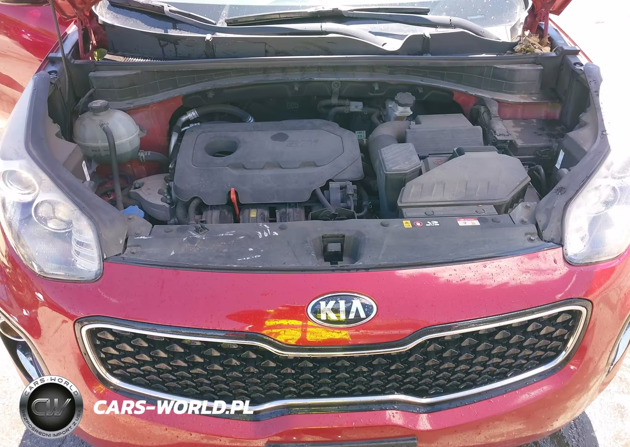 2019 Kia Sportage Ex VIN:KNDPNCAC3K7572975 - 10