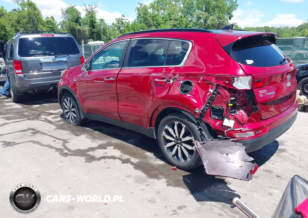 2019 Kia Sportage Ex VIN:KNDPNCAC3K7572975 - 3