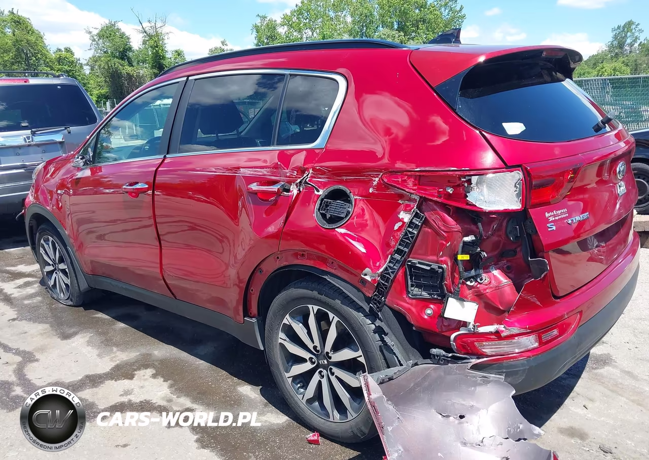 2019 Kia Sportage Ex VIN:KNDPNCAC3K7572975 - 6