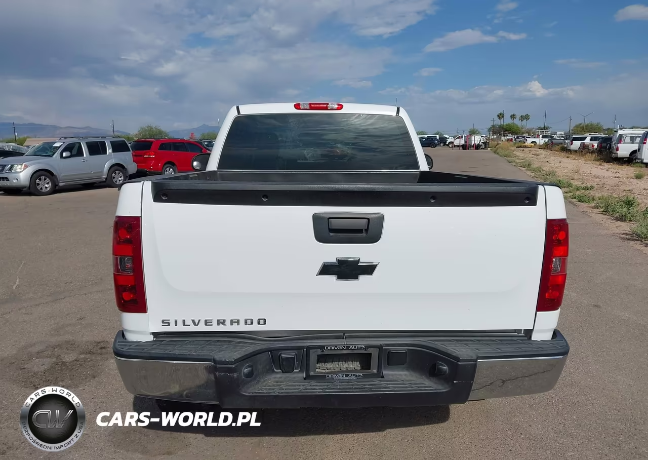 2013 Chevrolet Silverado 1500 Work Truck VIN:1GCNCPEX6DZ382564 - 17