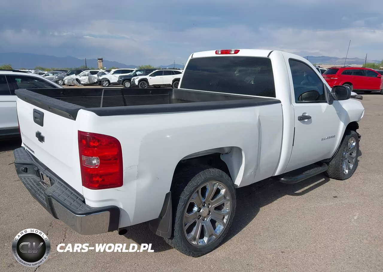 2013 Chevrolet Silverado 1500 Work Truck VIN:1GCNCPEX6DZ382564 - 4