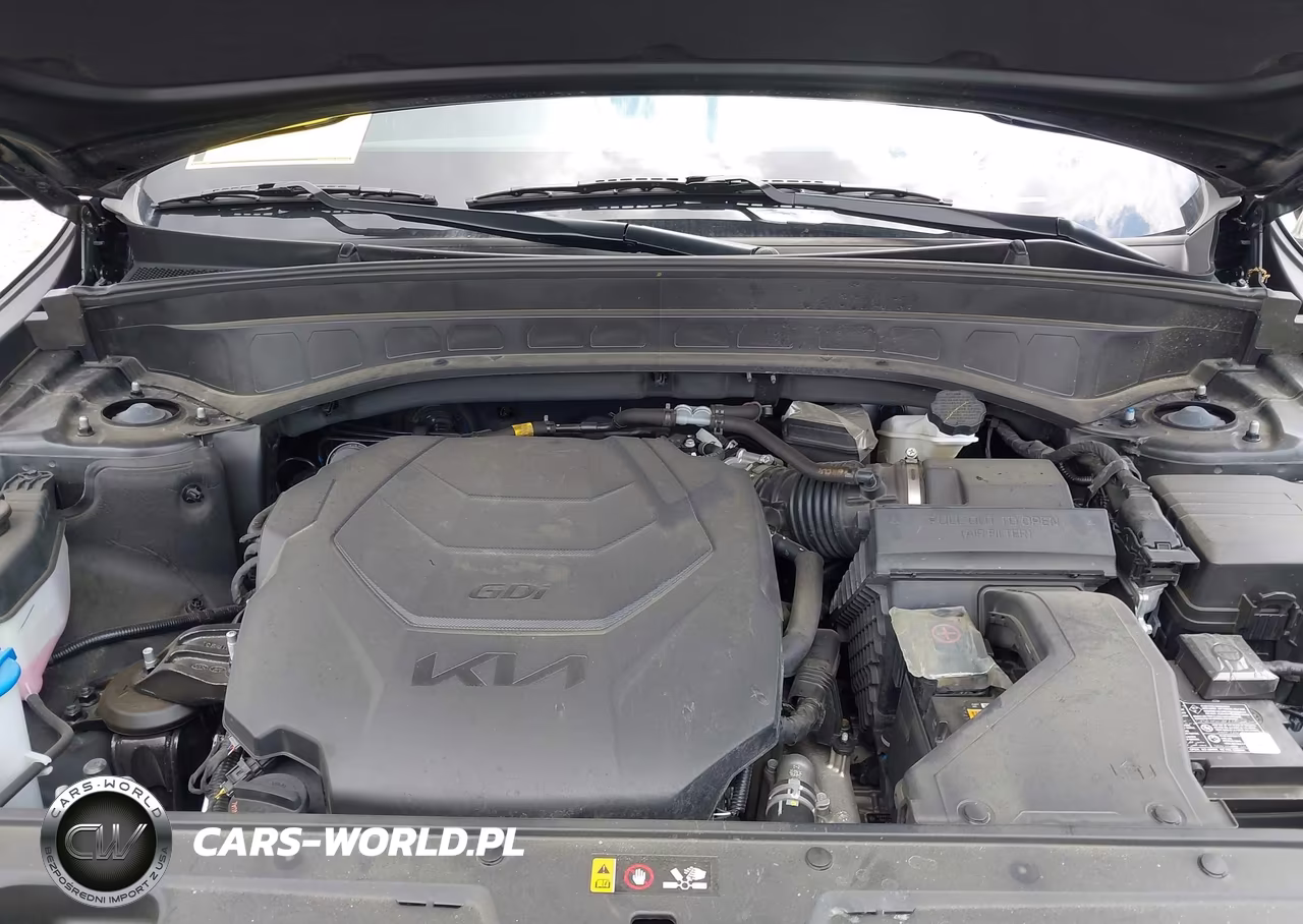 2025 Kia Telluride Ex VIN:5XYP34GC6SG638862 - 10