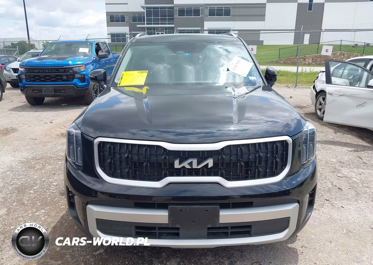 2025 Kia Telluride Ex VIN:5XYP34GC6SG638862 - 13