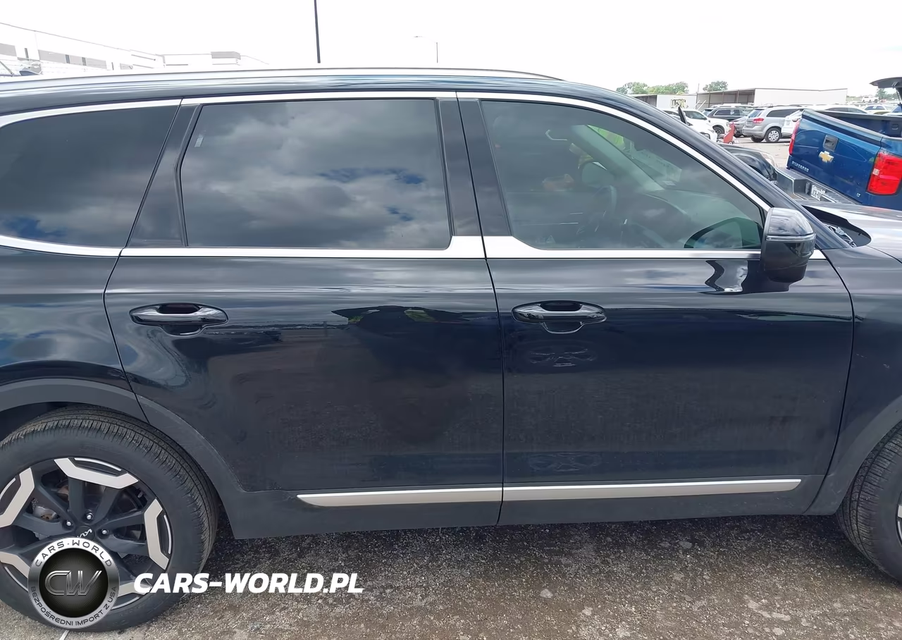 2025 Kia Telluride Ex VIN:5XYP34GC6SG638862 - 14