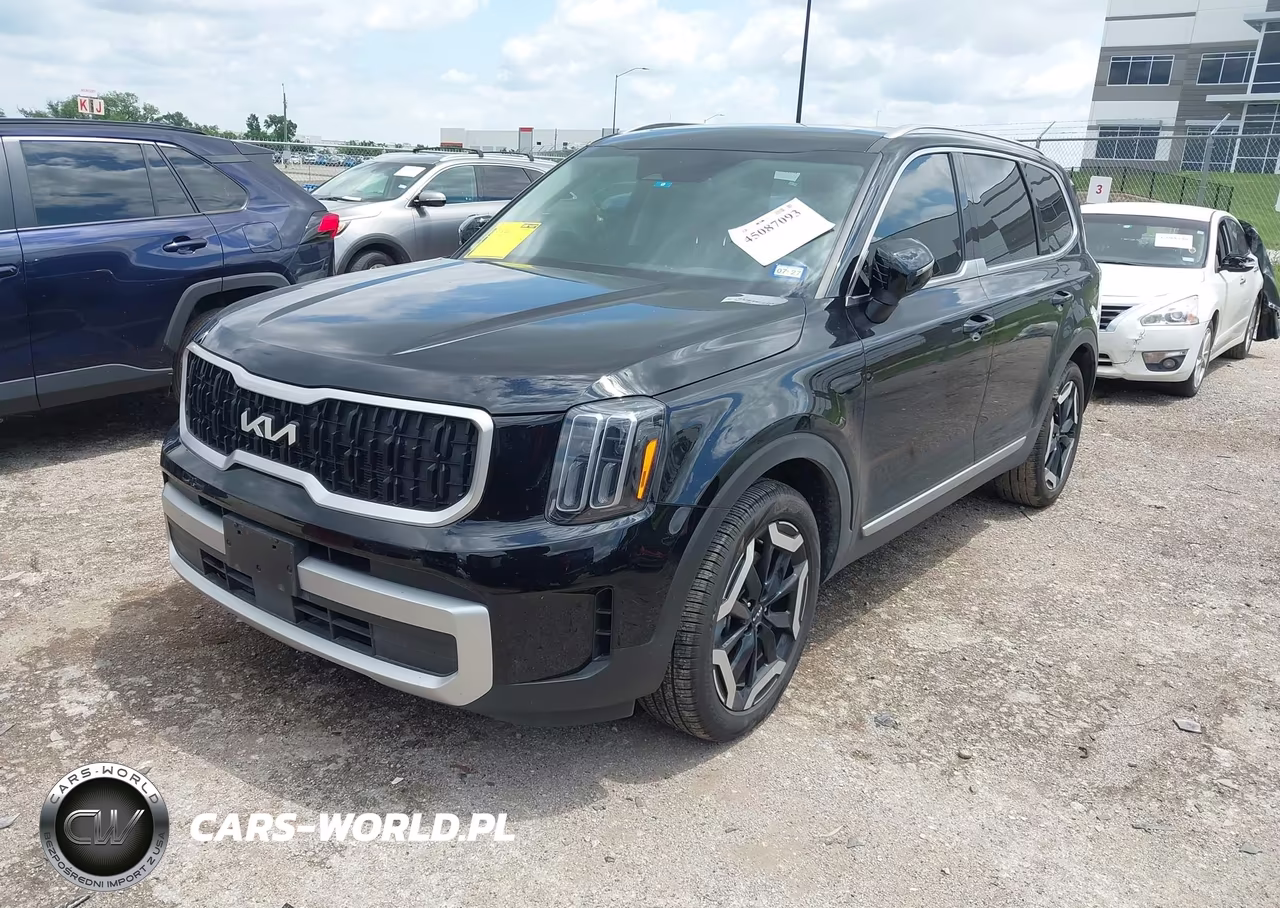 2025 Kia Telluride Ex VIN:5XYP34GC6SG638862 - 2