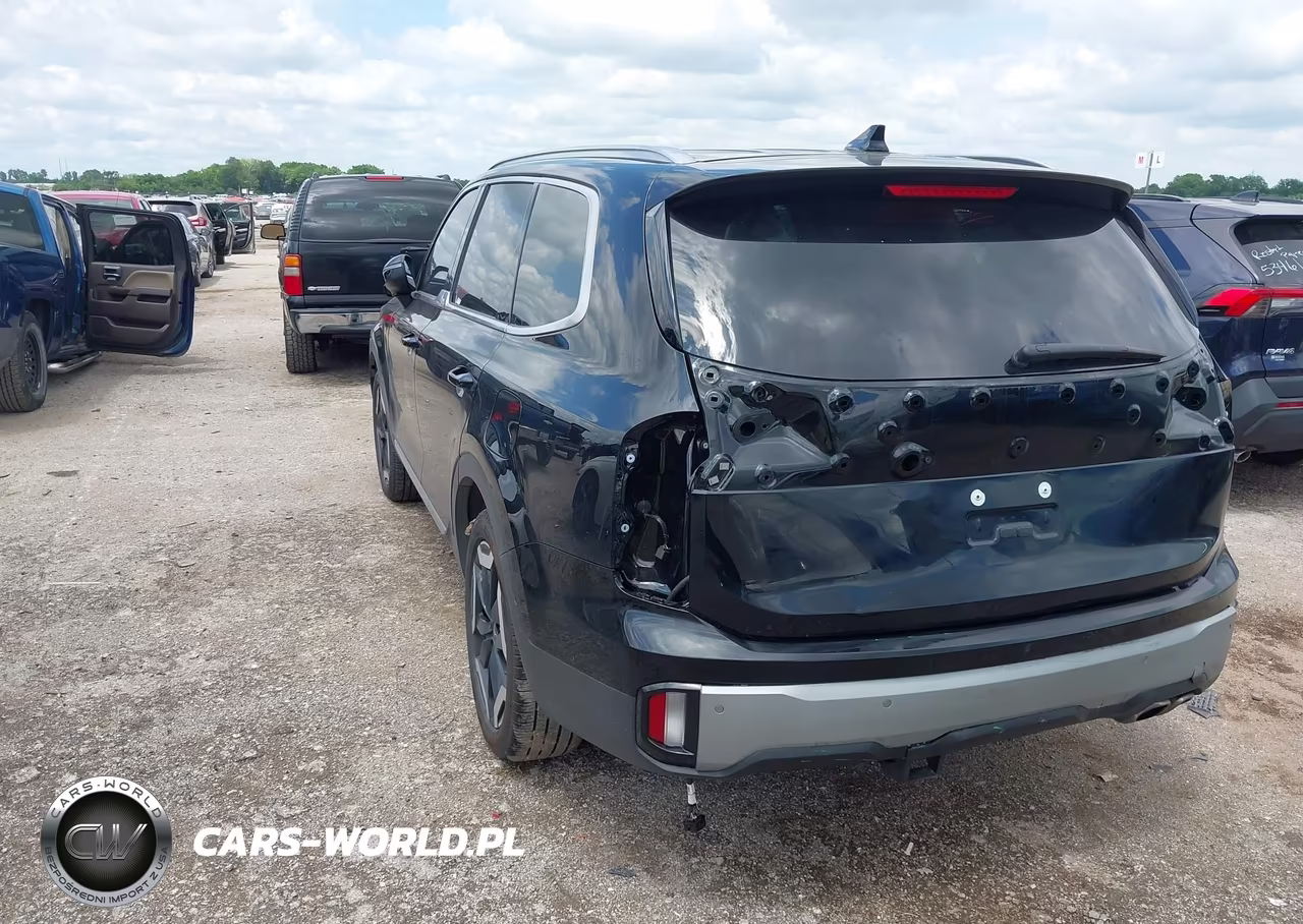 2025 Kia Telluride Ex VIN:5XYP34GC6SG638862 - 3