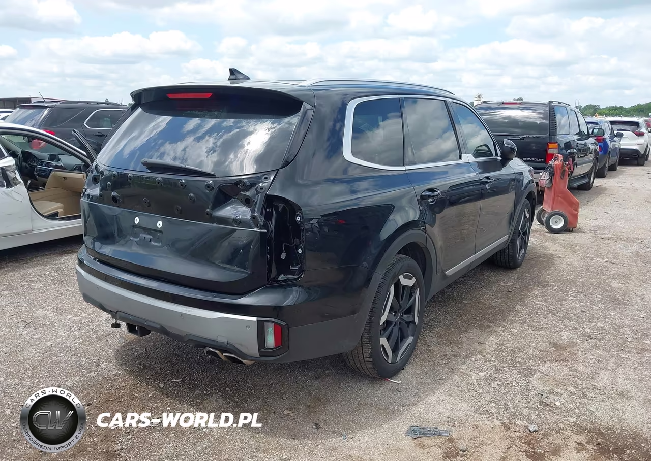 2025 Kia Telluride Ex VIN:5XYP34GC6SG638862 - 4