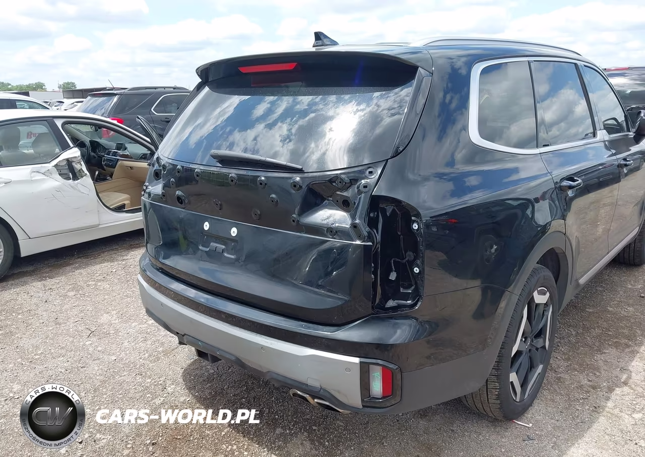 2025 Kia Telluride Ex VIN:5XYP34GC6SG638862 - 6