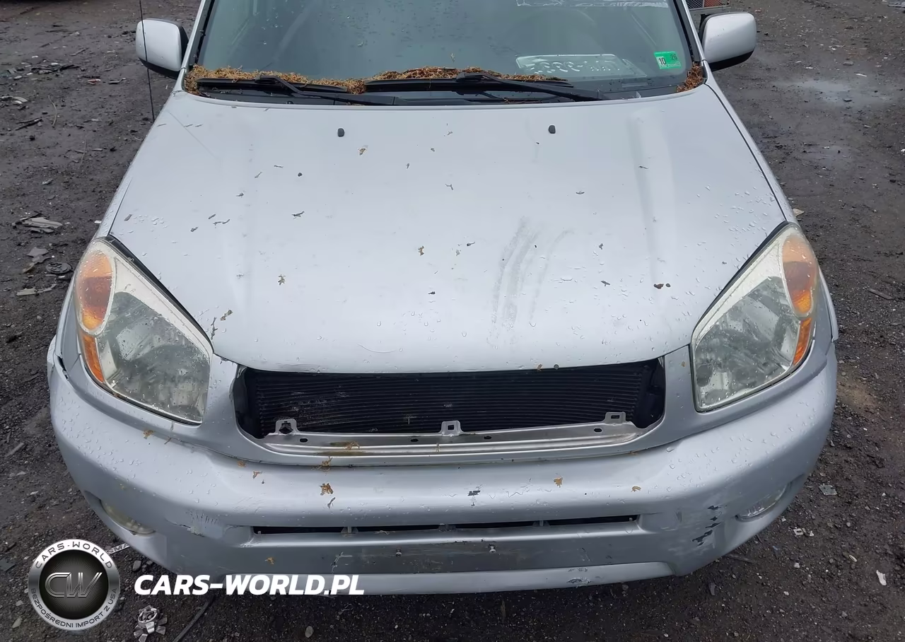 2004 Toyota Rav4 VIN:JTEHD20V246005469 - 10