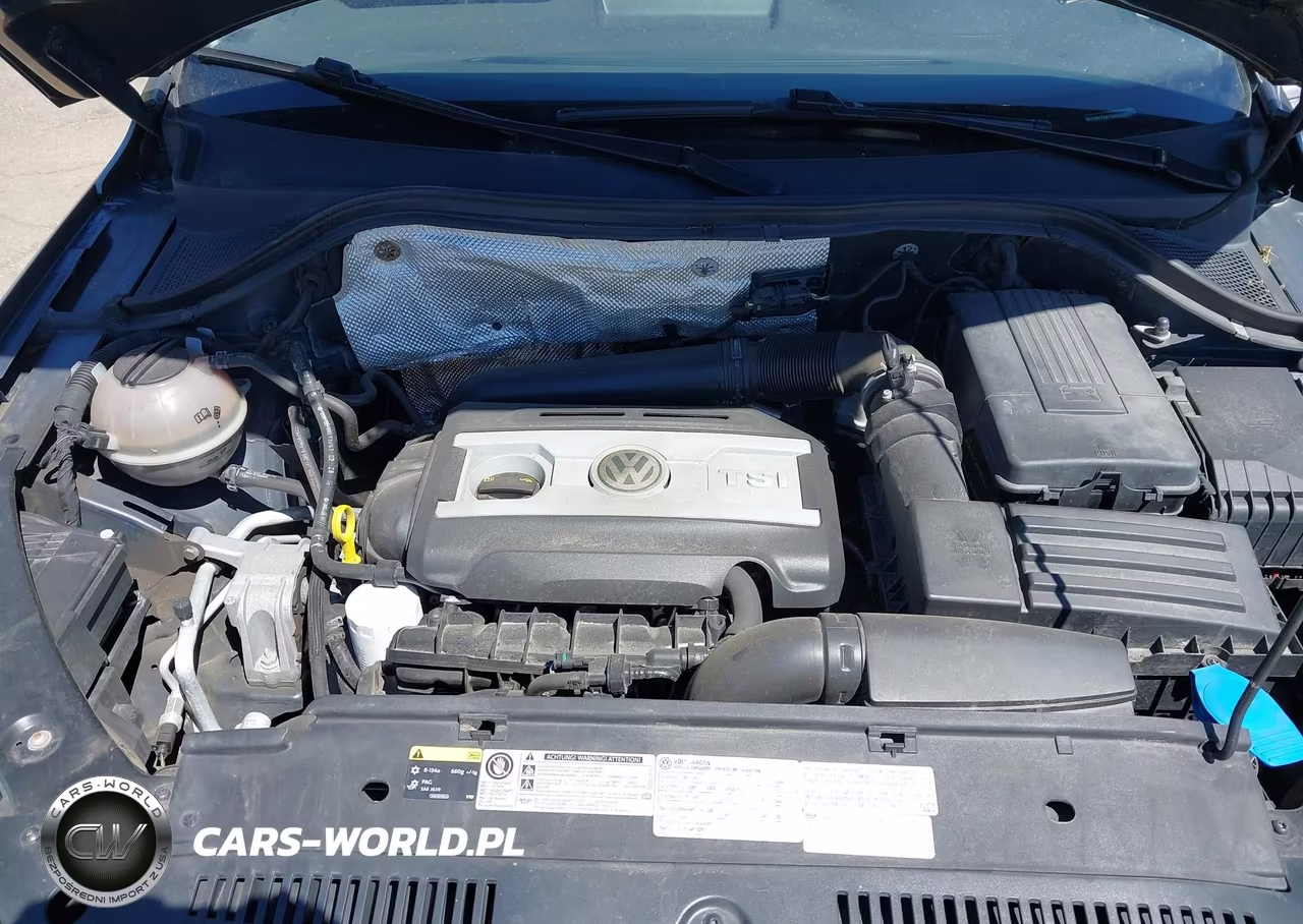 2016 Volkswagen Tiguan Sel VIN:WVGBV7AX1GW530012 - 10