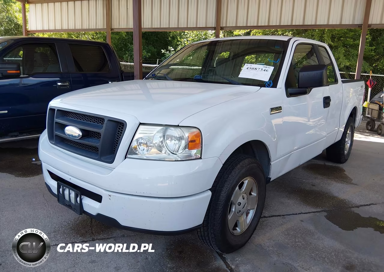2006 Ford F-150 Stx-Xl-Xlt VIN:1FTRX12W96KB22346 - 2