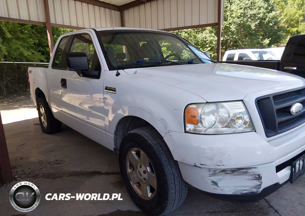 2006 Ford F-150 Stx-Xl-Xlt VIN:1FTRX12W96KB22346 - 6