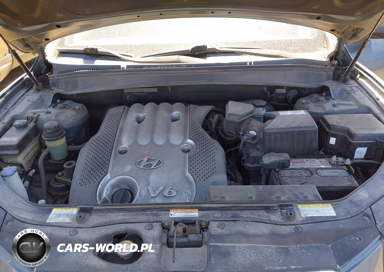 2007 Hyundai Santa Fe Gls VIN:5NMSG13D87H036408 - 10