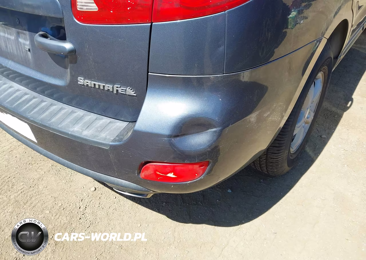 2007 Hyundai Santa Fe Gls VIN:5NMSG13D87H036408 - 6