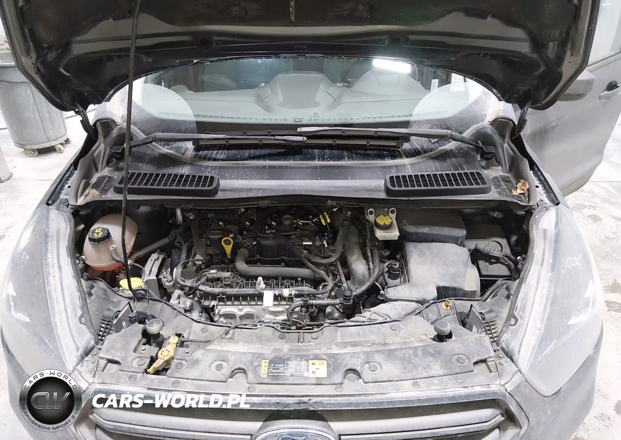 2019 Ford Escape Sel VIN:1FMCU9HD2KUB63737 - 10