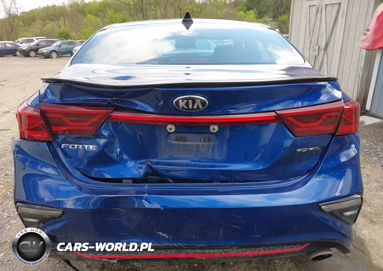 2021 Kia Forte Gt-Line VIN:3KPF34AD7ME424069 - 17