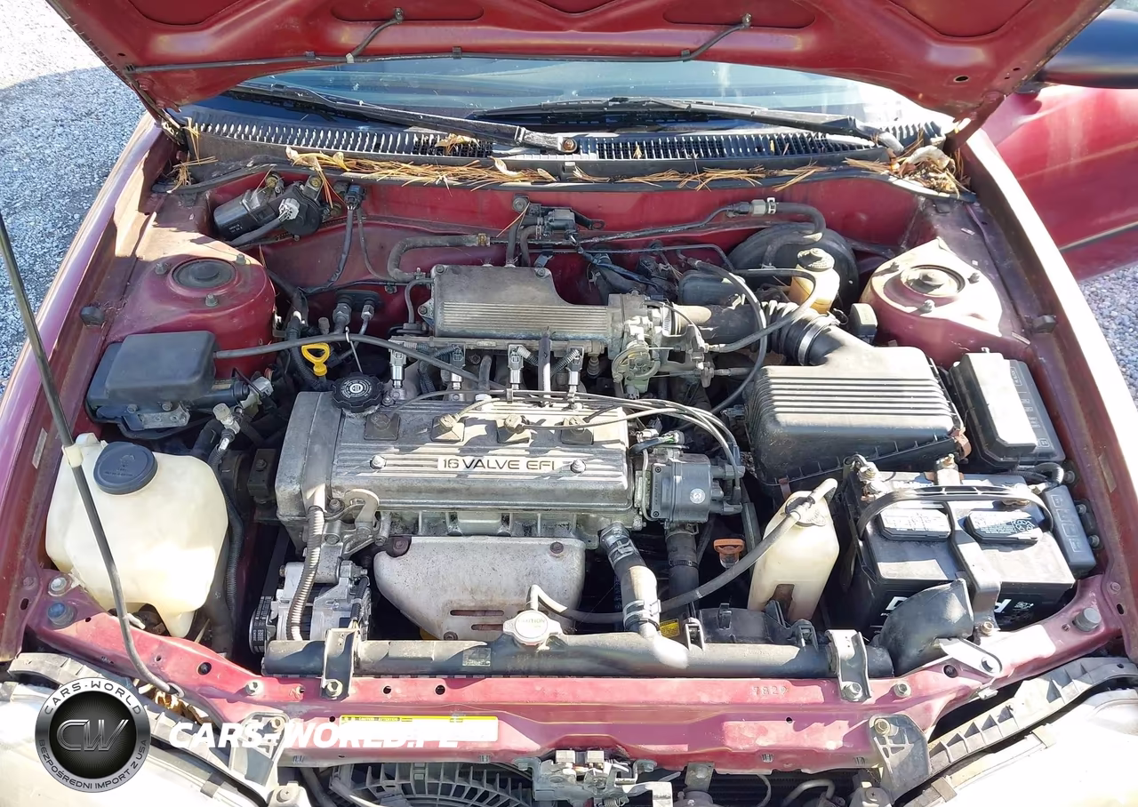1994 Geo Prizm Lsi VIN:1Y1SK5363RZ101974 - 10