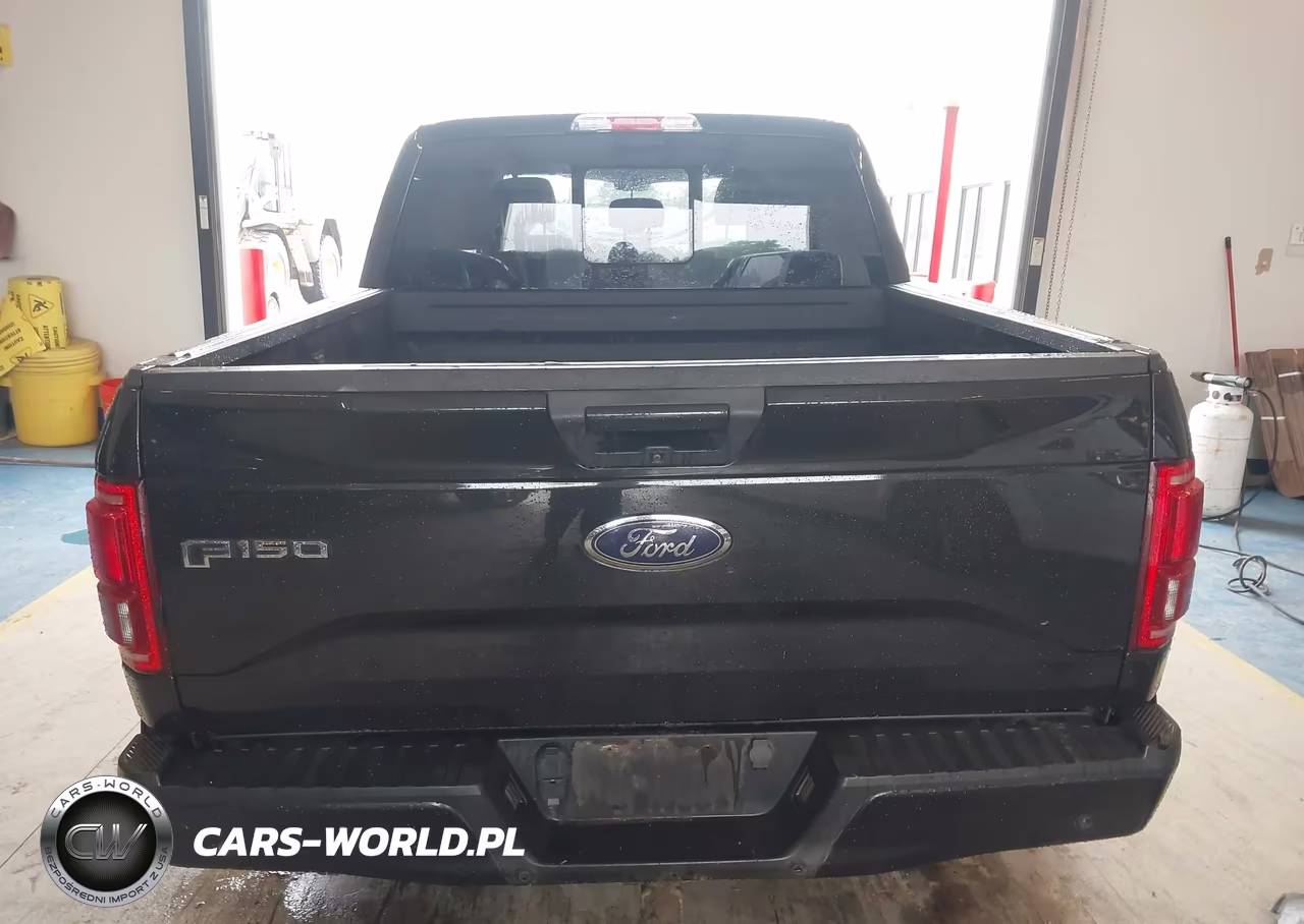 2015 Ford F-150 Xlt VIN:1FTEW1EP0FFC06148 - 16