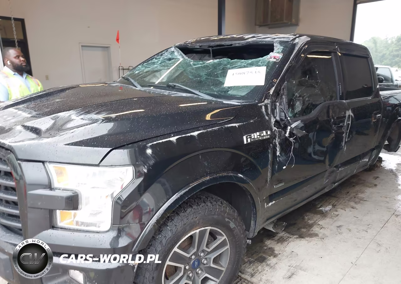 2015 Ford F-150 Xlt VIN:1FTEW1EP0FFC06148 - 6