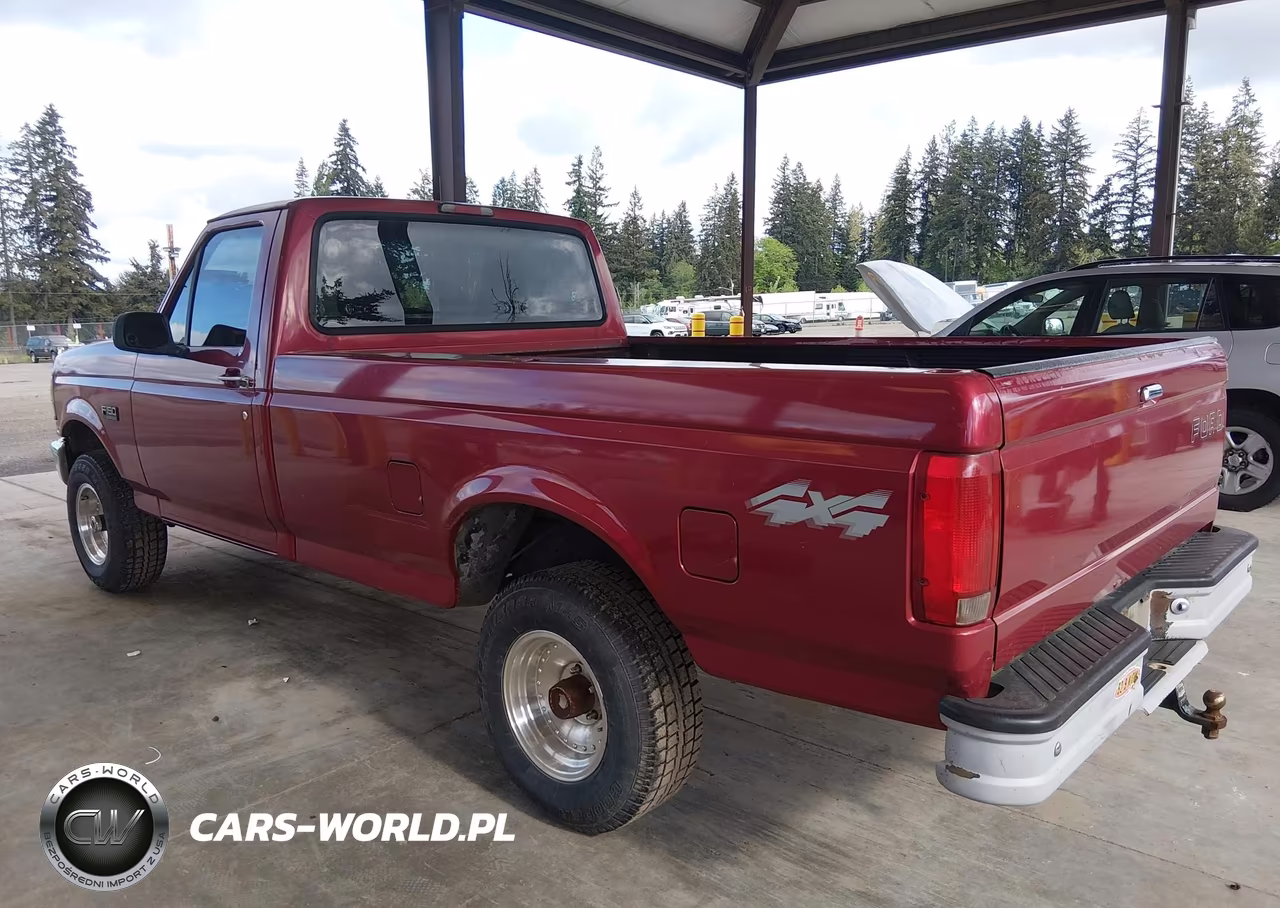 1995 Ford F150 VIN:1FTEF14N6SLB40443 - 3