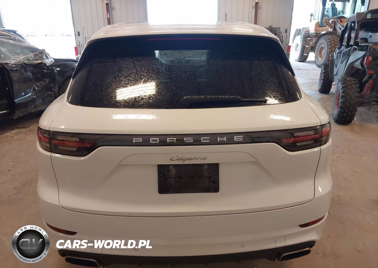 2020 Porsche Cayenne VIN:WP1AA2AY9LDA01273 - 16