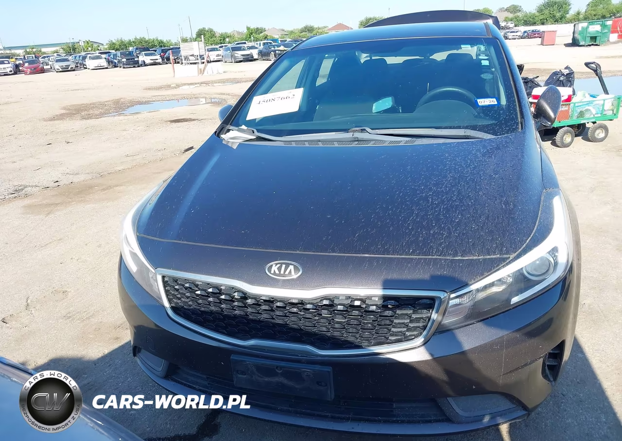 2018 Kia Forte Lx VIN:3KPFK4A74JE190501 - 12