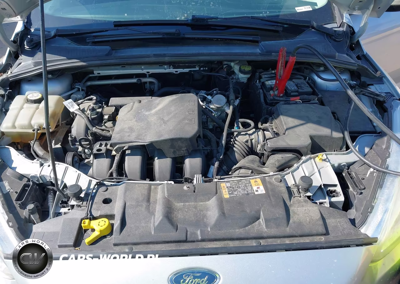 2016 Ford Focus Se VIN:1FADP3K25GL374759 - 10