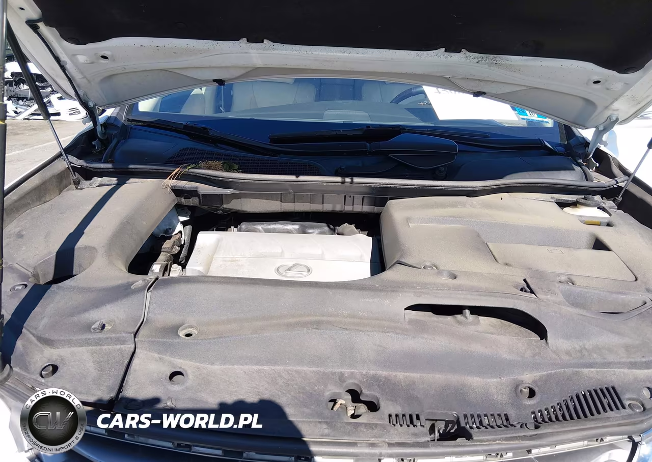 2015 Lexus Rx 350 VIN:2T2BK1BA6FC282637 - 10