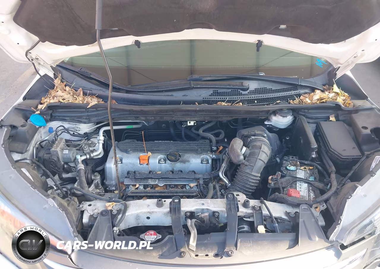 2014 Honda Cr-V Lx VIN:5J6RM3H36EL008065 - 10