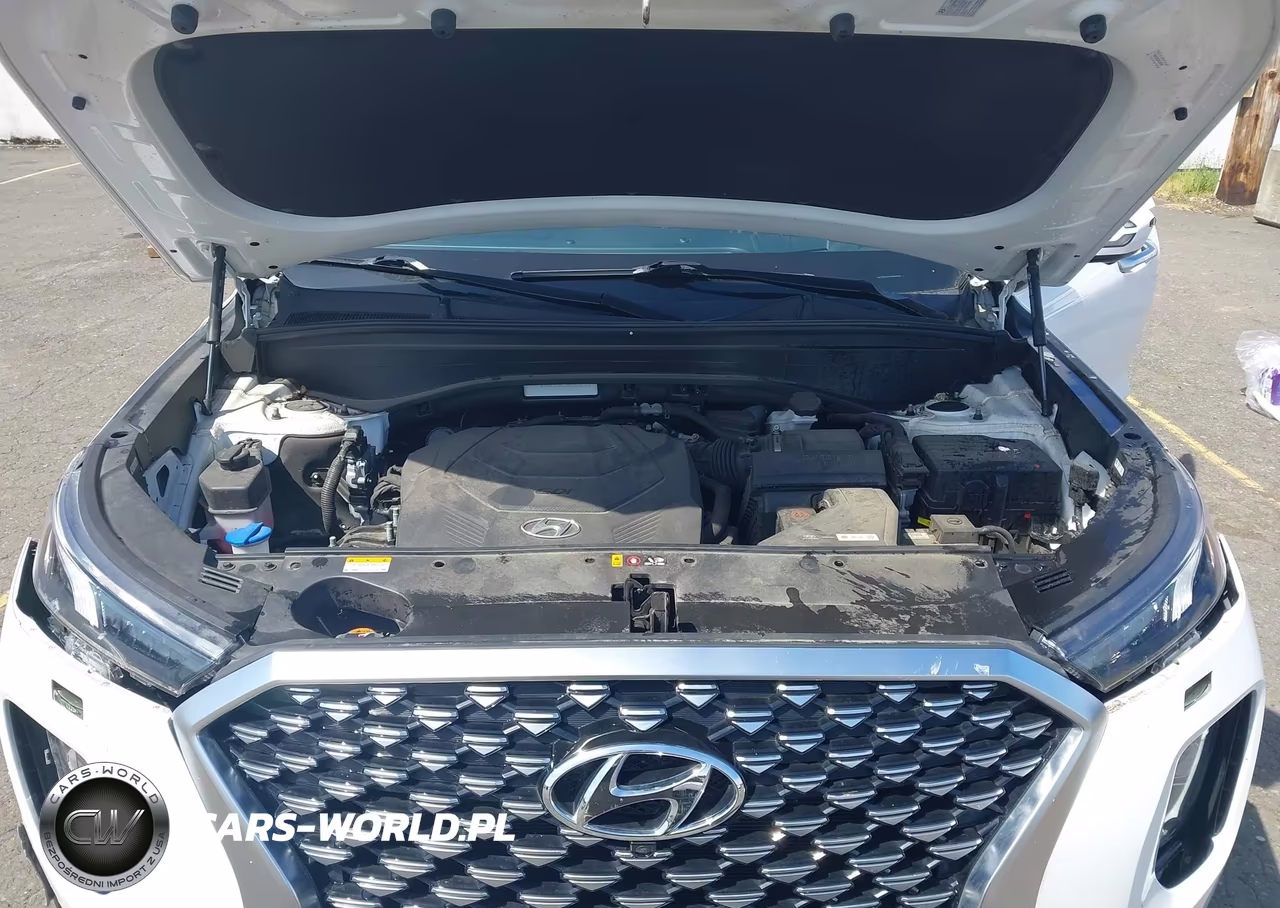 2021 Hyundai Palisade Calligraphy VIN:KM8R7DHE3MU230250 - 10