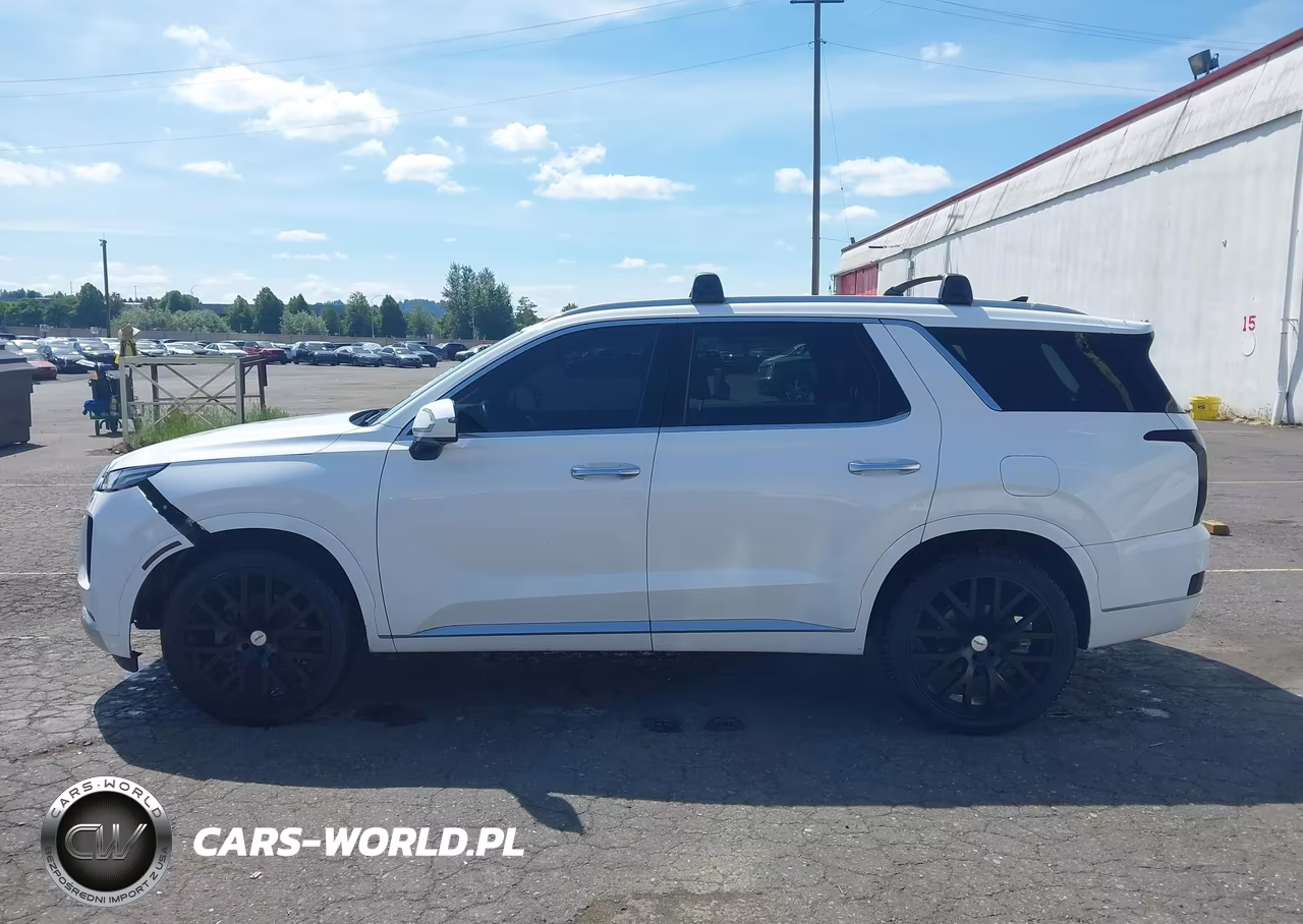 2021 Hyundai Palisade Calligraphy VIN:KM8R7DHE3MU230250 - 15
