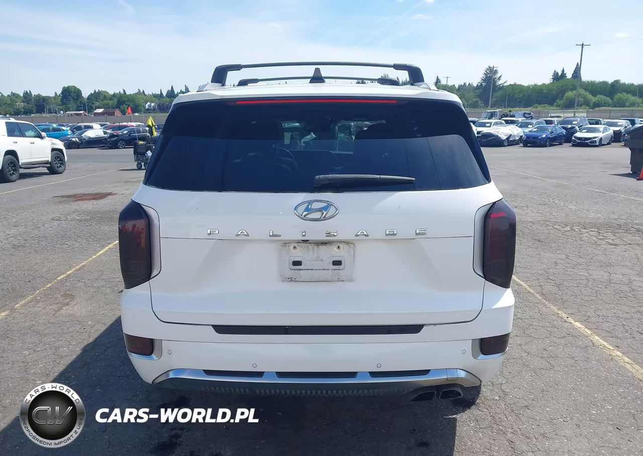 2021 Hyundai Palisade Calligraphy VIN:KM8R7DHE3MU230250 - 17