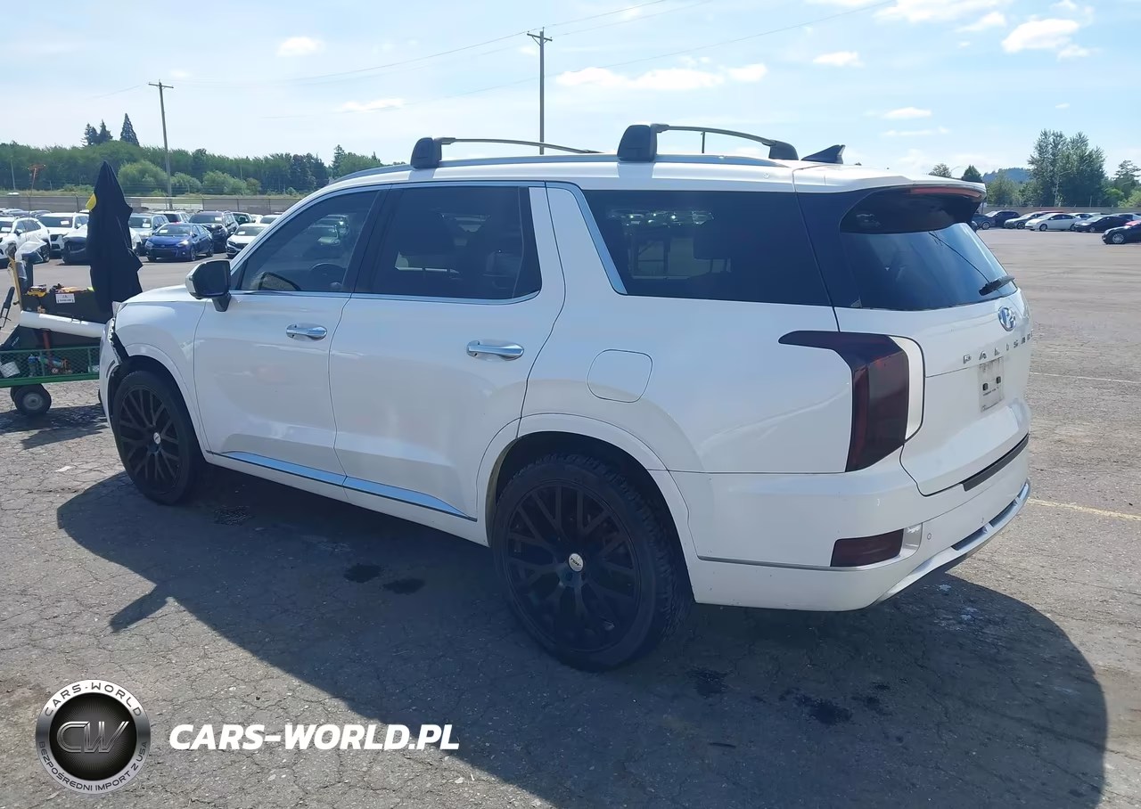 2021 Hyundai Palisade Calligraphy VIN:KM8R7DHE3MU230250 - 3