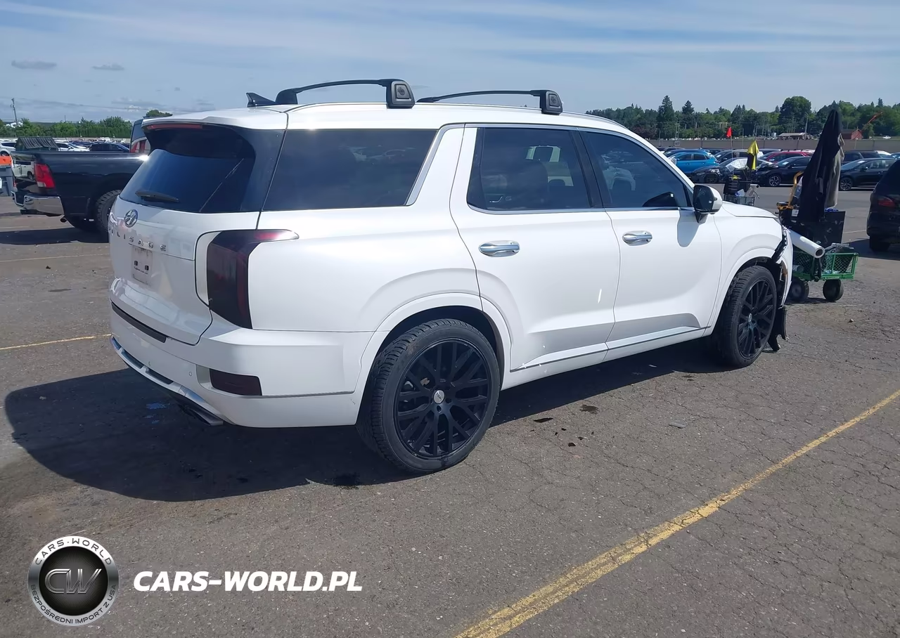 2021 Hyundai Palisade Calligraphy VIN:KM8R7DHE3MU230250 - 4