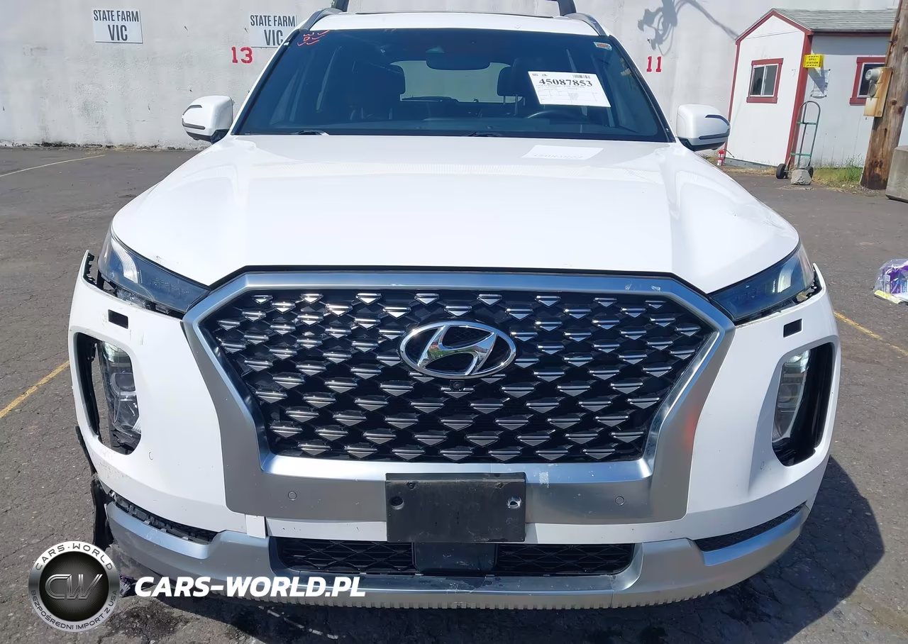 2021 Hyundai Palisade Calligraphy VIN:KM8R7DHE3MU230250 - 6
