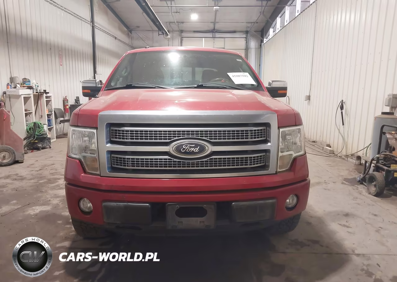 2010 Ford F-150 Fx4-Harley-Davidson-King Ranch-Lariat-Platinum-Xl-Xlt VIN:1FTFW1EV5AFA60017 - 12