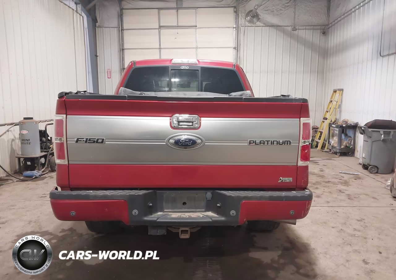 2010 Ford F-150 Fx4-Harley-Davidson-King Ranch-Lariat-Platinum-Xl-Xlt VIN:1FTFW1EV5AFA60017 - 16