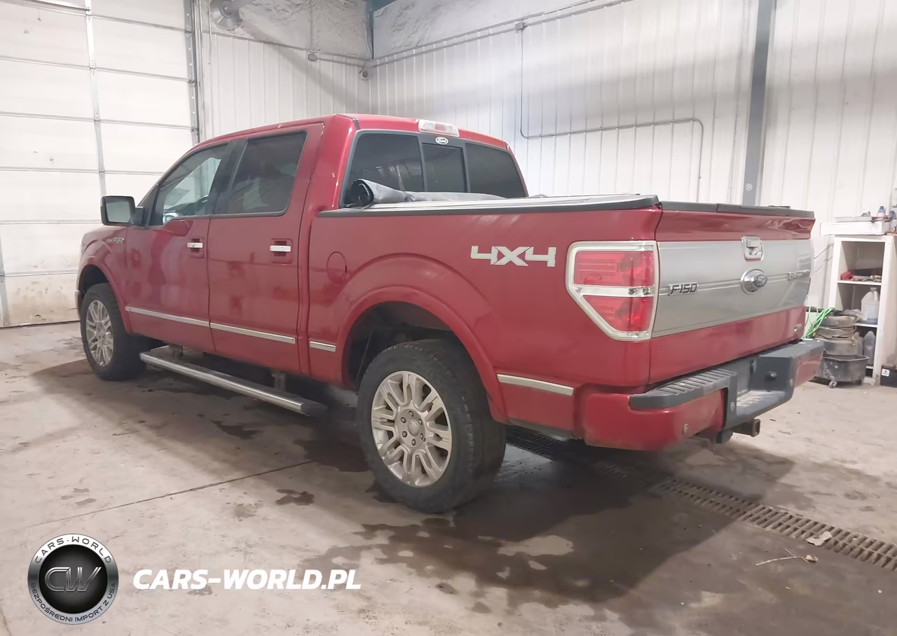 2010 Ford F-150 Fx4-Harley-Davidson-King Ranch-Lariat-Platinum-Xl-Xlt VIN:1FTFW1EV5AFA60017 - 3