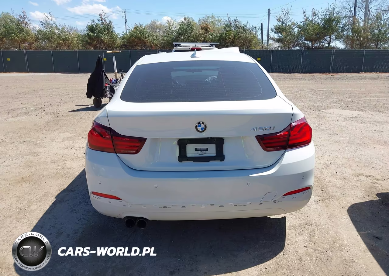 2020 BMW 430I Gran Coupe VIN:WBA4J1C01LCD72157 - 17
