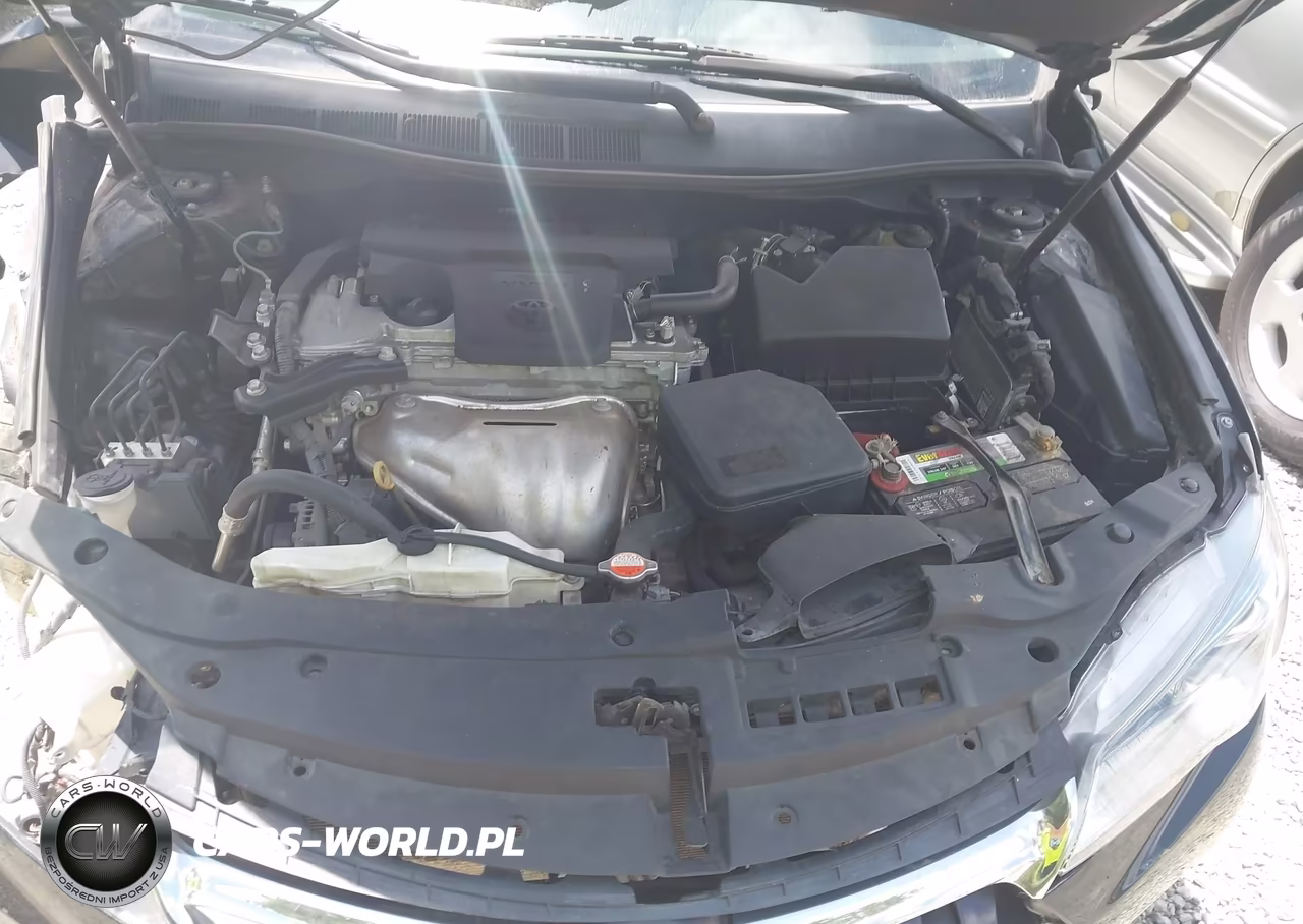 2016 Toyota Camry Xle VIN:4T4BF1FK2GR570382 - 10